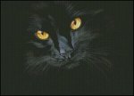 (image for) Black Magic